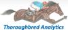 Thoroughbred Analytics